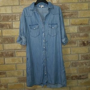 Kut from the Kloth Denim Dress